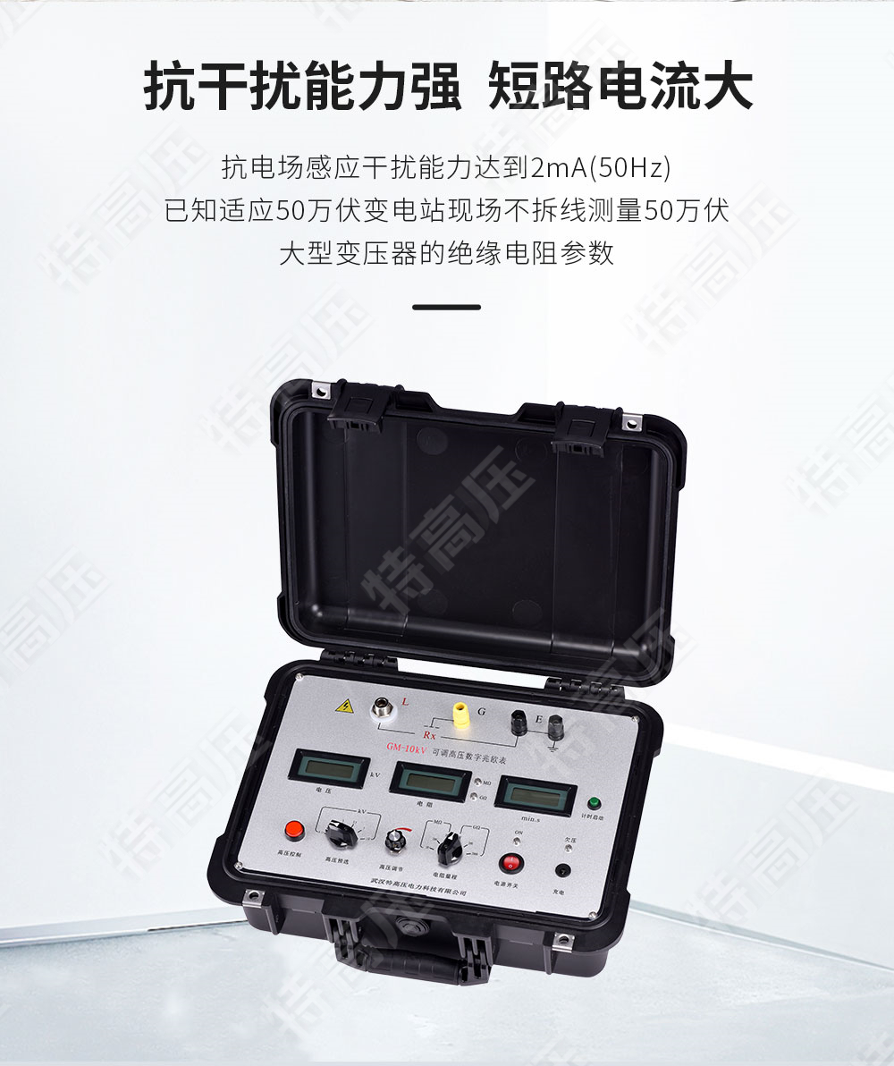 GM-10kV 可調高壓數字兆歐表(圖2)