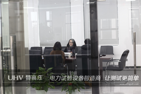 喜迎貴客臨門，浙江客戶來訪特高壓電力！(圖1)